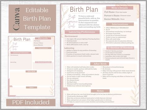 Editable Birth Plan Template Printable Birthing Plan Etsy
