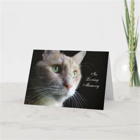 Cat Sympathy Card