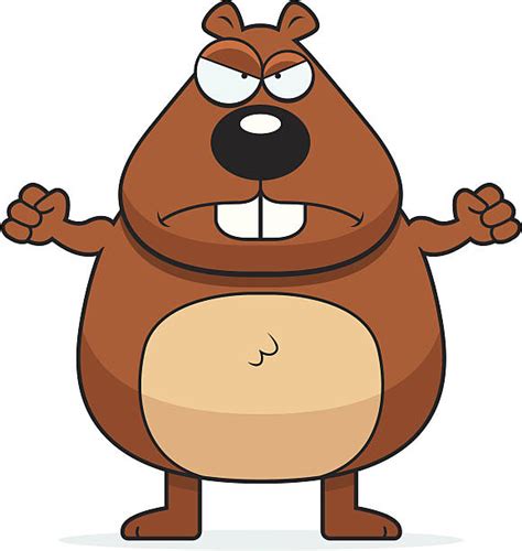 Angry Beavers Cartoons Illustrations Royalty Free Vector Graphics