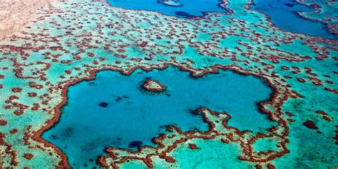 Great Barrier Reef Declared Dead By Scientists After 25 Million Years