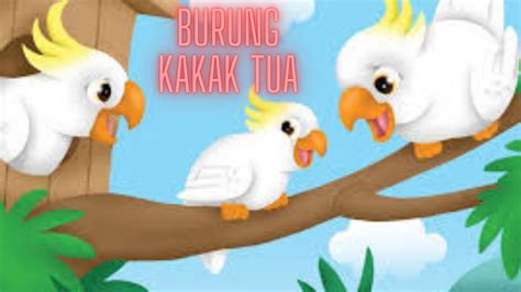 Lagu Burung Kakak Tua Lagu Anak Youtube