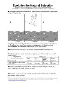 Preview of sample student exploration cell energy cycle answer key activity a. Evolution by Natural Selection Activities & Project for ...