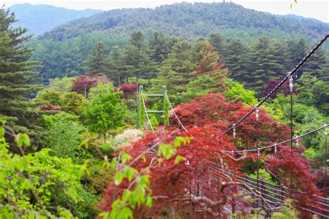 Garden Of The Morning Calm All You Need To Know Korea Guide