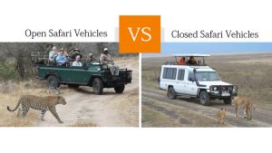 Open Safari Vehicles vs. Closed Safari Vehicles | Blog ...