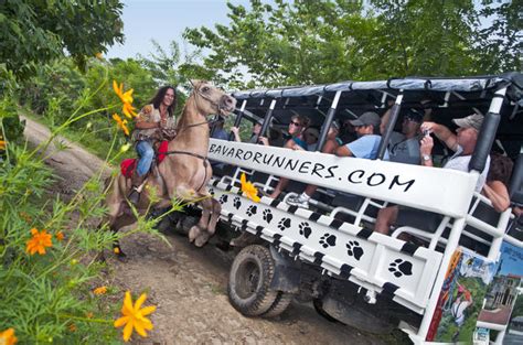 Dominican Republic Countryside Safari Tour From Punta Cana With Prices