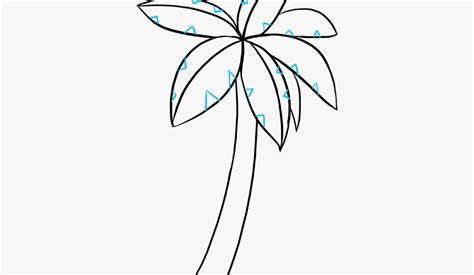 Comment Dessiner Un Palmier Touslesbonsplans