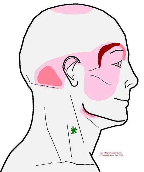 Sinuses Behind Ears Pictures Photos