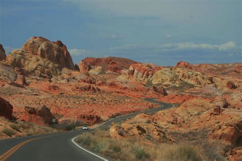 The mojave desert is rich with cacti and succulent species, yet in death valley national park they are scarce due to the extremes of heat, dryness, and engelmann hedgehog cactus are locally abundant above 3000 feet elevation. Vélo Nevada Parc national Death Valley cyclotourisme