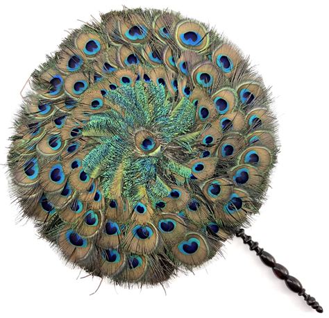 Products Peacock Feather Fan Finer Things Antiques