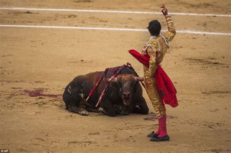 3 Matadors Gored As Bull Fight Is Cancelled At Fiesta Of San Isidro