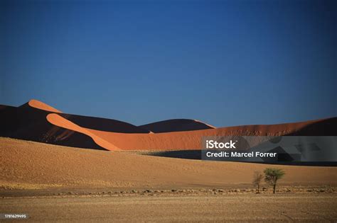 Namib Desert Red Sand Dunes Stock Photo Download Image Now Arid