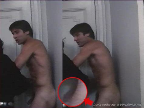 Images Of David Duchovny Nude Telegraph