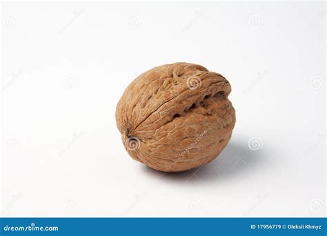 One Single Nut Stock Image Image Of Nutmeat Tasty Isolated 17956779