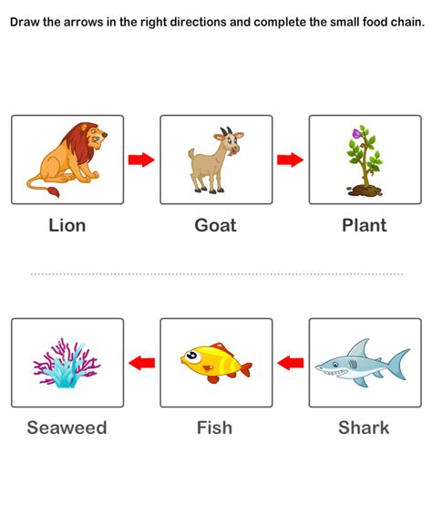 Food Chain Worksheets Free Educational Worksheets For Kids
