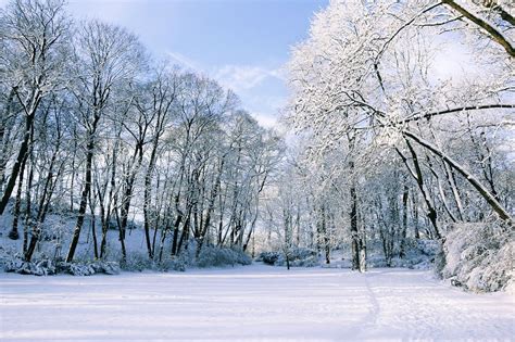 Free Image On Pixabay Winter Snow Landscape Tree