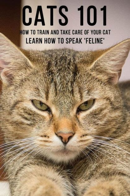 Cats 101 How To Train And Take Care Of Your Cat Learn How To Speak