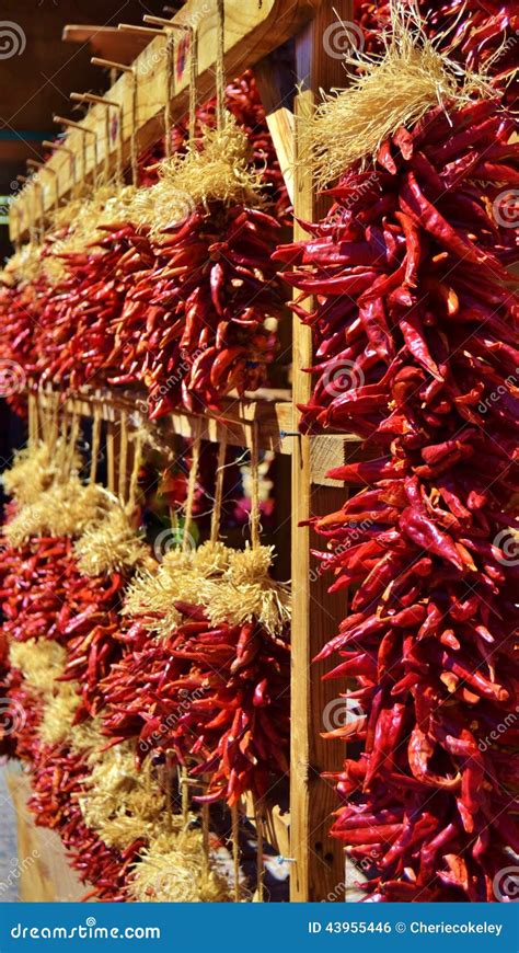 Looking Down Isle Of Displayed Hanging Chili Peppers Stock Photo
