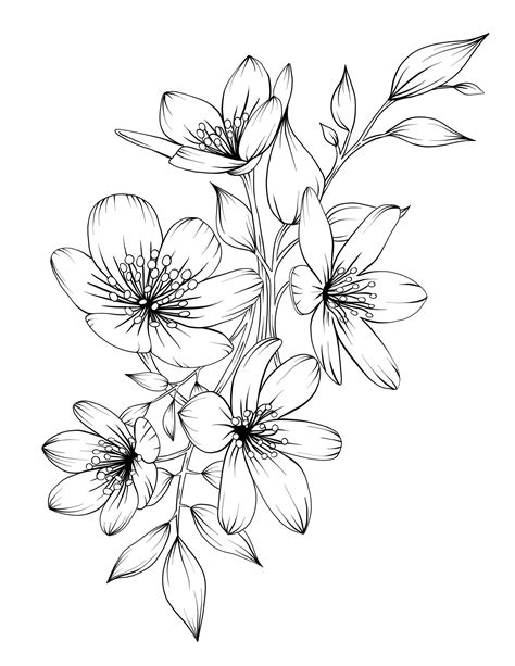 Beautiful Flowers Images Drawing Flowers Drawings Inspiration