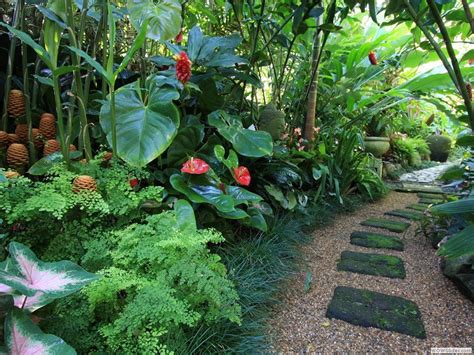 46 Tropical Courtyard Garden Ideas Paradise