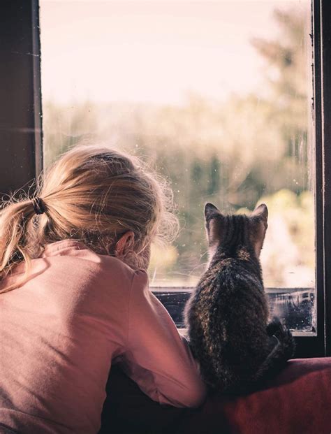 Can a cat care for you? Emotional Support Cat - Does Yours Qualify? | Cat ...