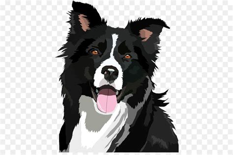 Border Collie Bearded Collie Clip Art Border Collie Png File Png