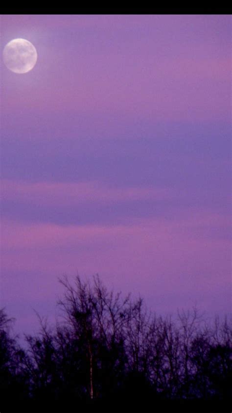 Purple Sky Moon Wallpaper By Realms31 50 Free On Zedge™