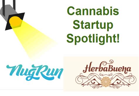 Cannabis Startup Spotlight Herba Buena And Nug Run