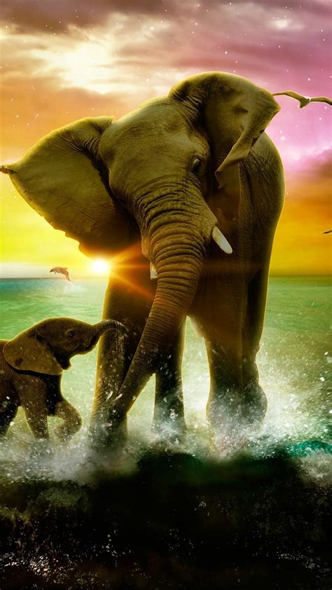 Baby Elephant Iphone Wallpapers Top Free Baby Elephant Iphone