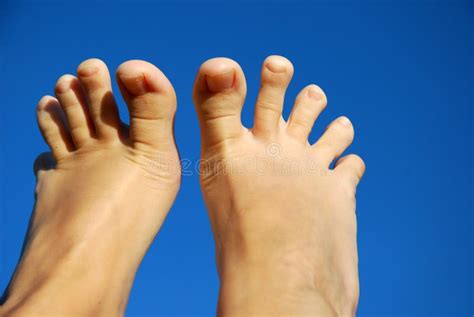 Feet Fingers Stock Photo Image Of Fingers Recreation 9410588