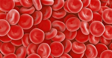 Diseases That Cause Low Red Blood Count Livestrongcom