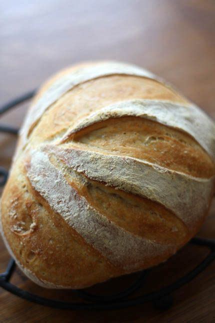 the new artisan bread in five minutes a day master recipe back to basics updated artofit