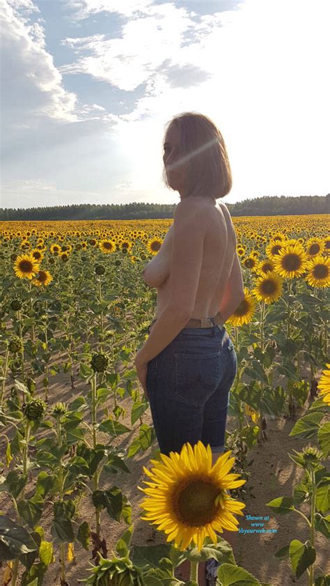 Sunflower July 2017 Voyeur Web