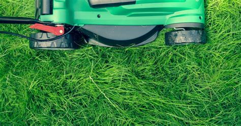 6 Effective Lawn Mowing Sarasota Fl Techniques