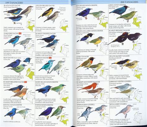 Book Review Birds Of Colombia Proaves Guide