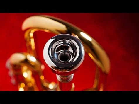 How To Assemble Your Trumpet And Oil The Valves Youtube