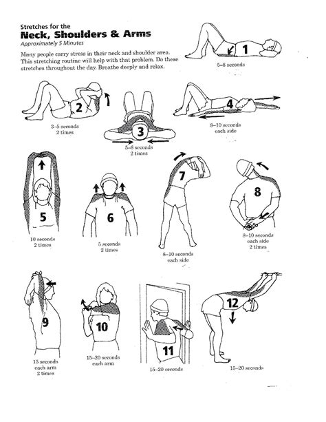 Printable Scoliosis Exercises Pdf