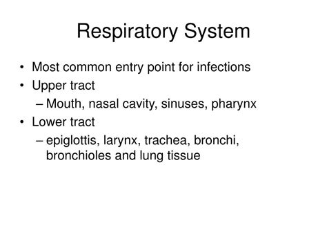 Ppt Respiratory System Infections Powerpoint Presentation Free
