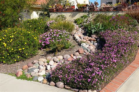 Xeriscape Your Yard To Save Time And Money Serbu Sand And Gravel