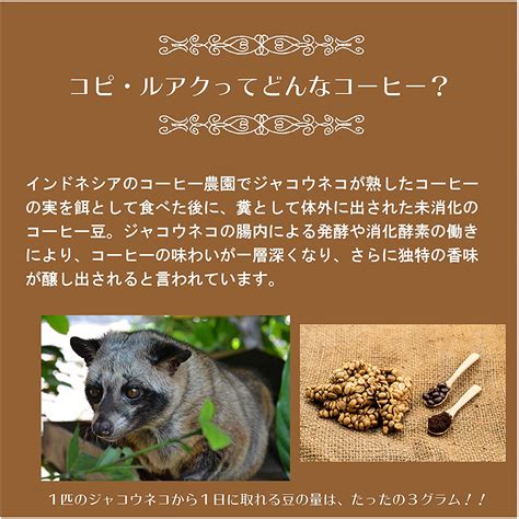 『コピ・ルアク Kopi Luwak コーヒー』：頂きもの ちょっと勇気が・・・ ありさんの黄昏館