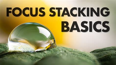 Focus Stacking Basics In Macro Photography Youtube