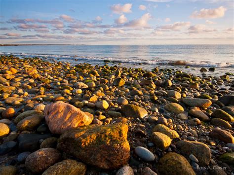Rocky Shoreline On Cape Cod Bay Photograph On Canvas Etsy