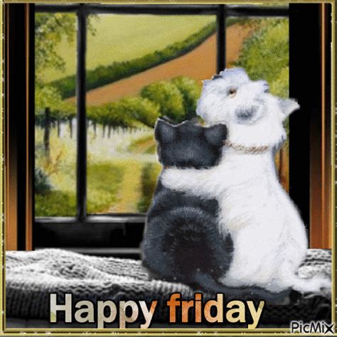Cats Happy Friday Animation Pictures Photos And Images For Facebook
