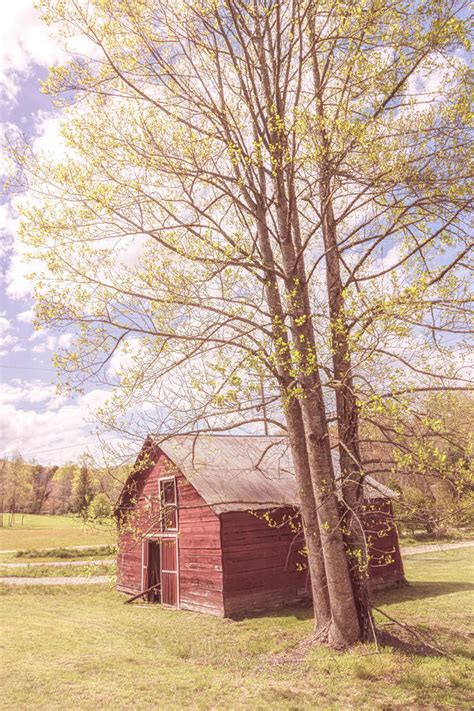 Springtime At The Country Barn Photograph By Debra And Dave Vanderlaan