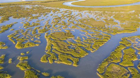 Along Southeast Coast Plan To Protect 1 Million Acres Of Salt Marsh