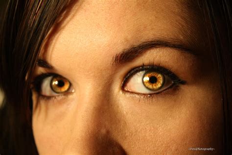 Yellow Eyes By Claytons Girl 4 Ever On Deviantart