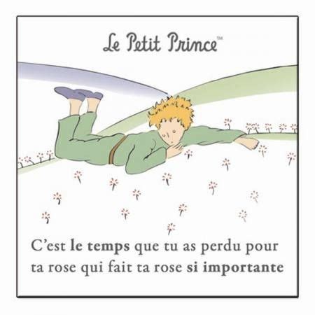 Je demande pardon aux enfants d'avoir dédié ce livre à une grande personne. Le renard et le petit prince | Le petit prince, Prince et ...