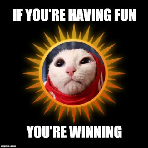 Image Tagged In Cat Memehaving Funwinningworld Cupkittyyes Imgflip
