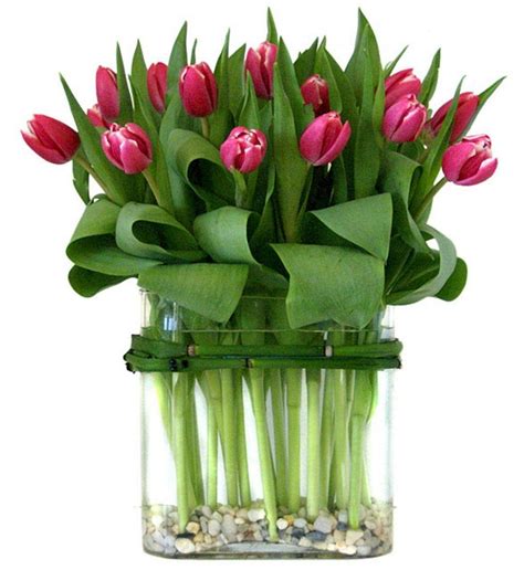 Tulip Flower Arrangement Images Flowers