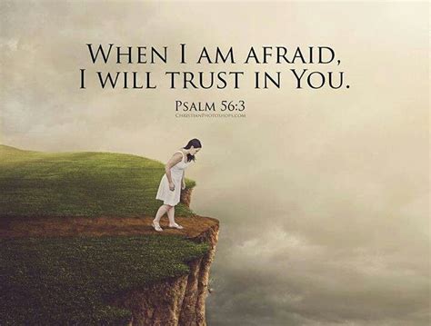 Psalms 563 4 Whenever I Am Afraid I Will Trust In You In God I Will