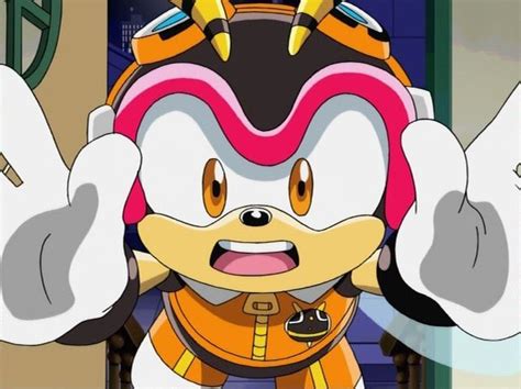🍂🖤charmy La Abeja💛🖤 Wiki Sonic The Hedgehog Español Amino